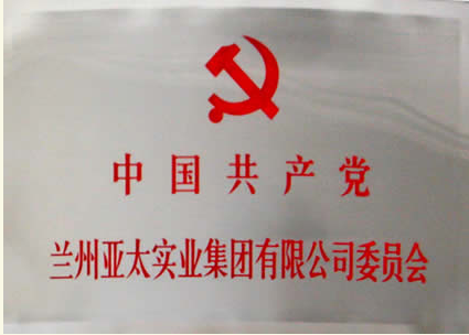 兰州pg电子官方实业集团有限公司成立党委会专题