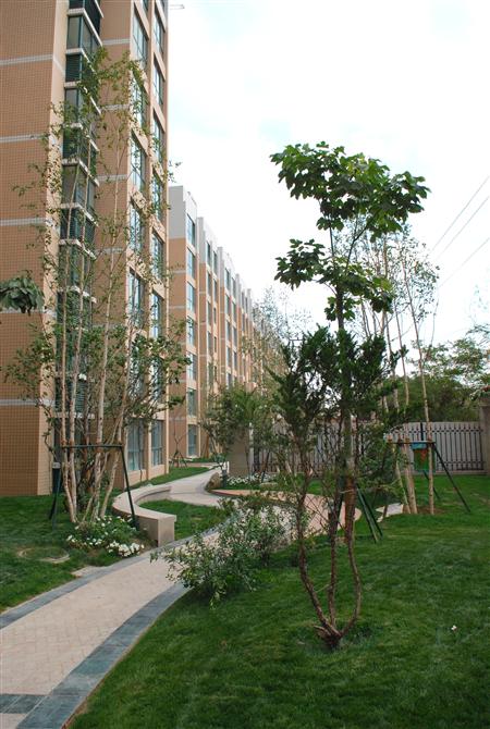 pg电子官方嘉园二期局部景观雏形鉴赏（亲景实拍）