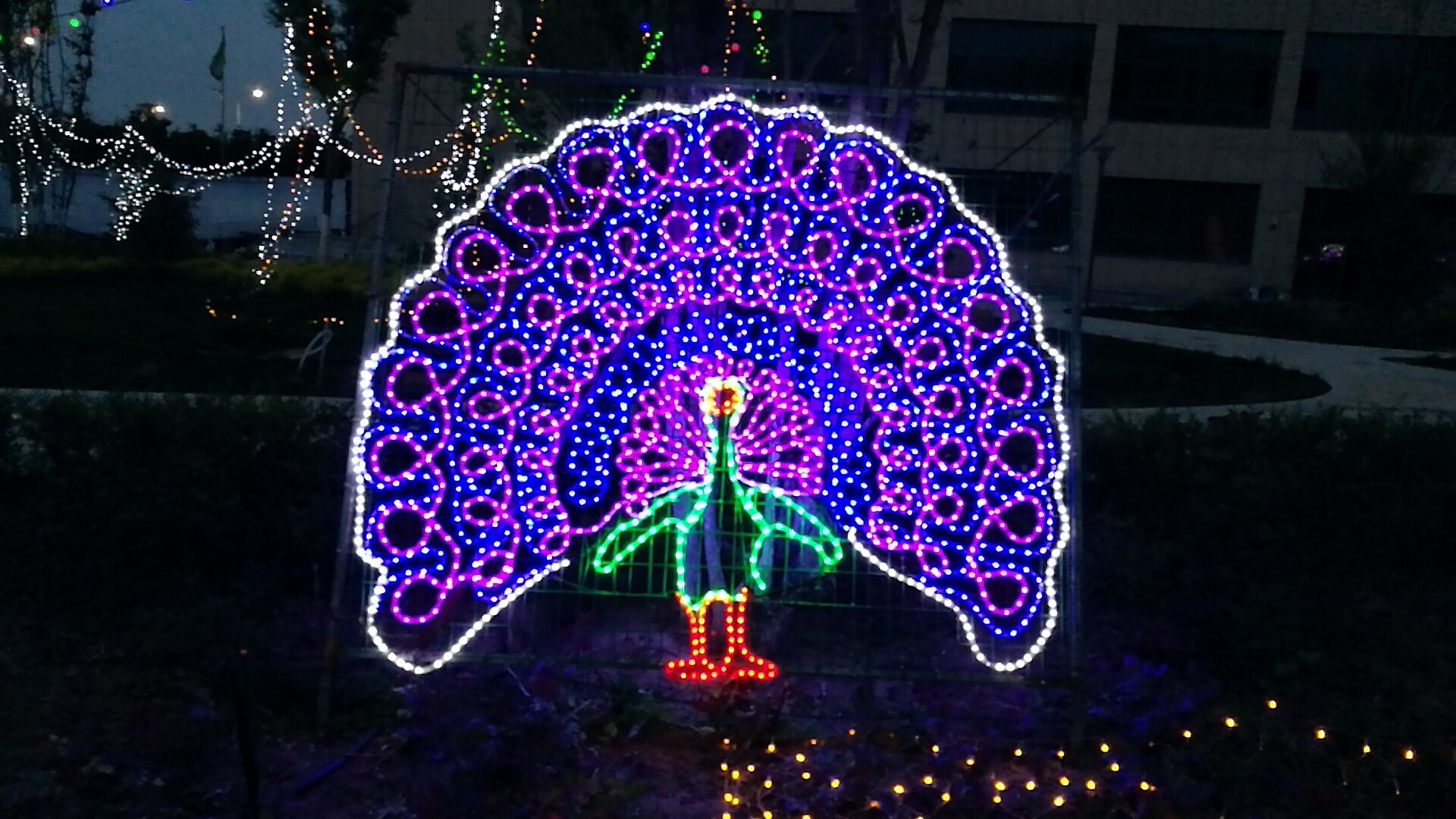 兰州新区pg电子官方世贸广场“花漾灯光艺术节”欢迎你！